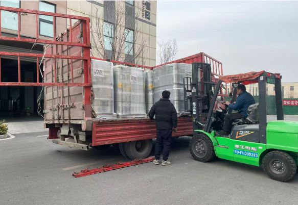 Skreytt kvikmynd Future Color verður hlaðin á réttum tíma